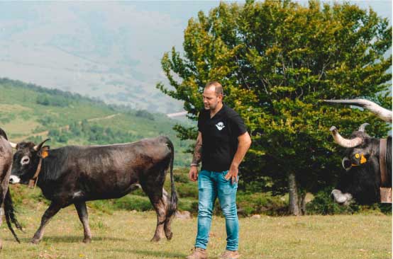 carne de tudanca